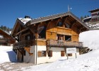  Elise, Les Gets Ski Chalet